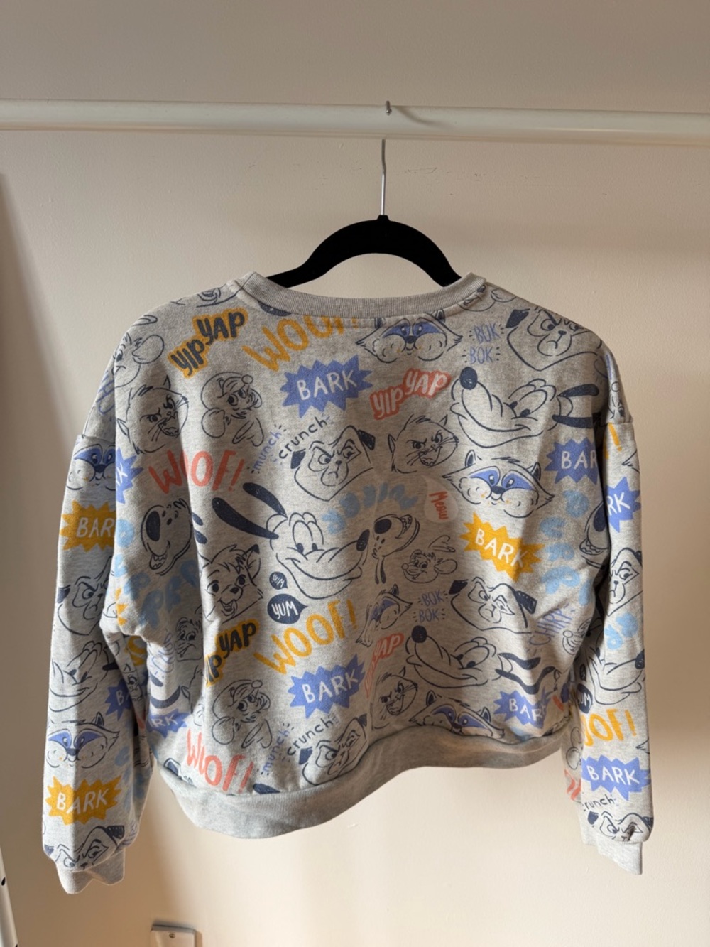 Disney Pets Grey Sweatshirt